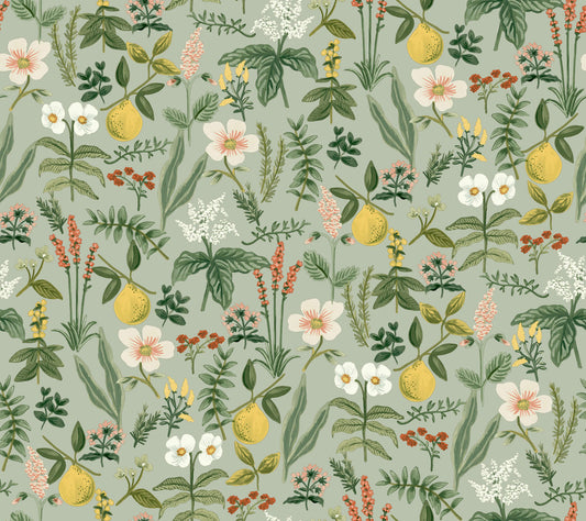 Rifle Paper Co. Herb Garden Peel & Stick Wallpaper - Sage