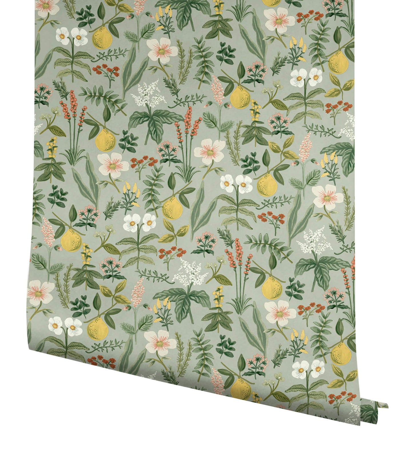Rifle Paper Co. Herb Garden Peel & Stick Wallpaper - Sage