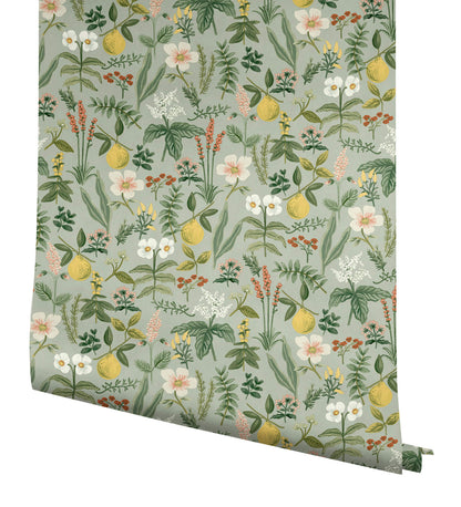 Rifle Paper Co. Herb Garden Peel & Stick Wallpaper - Sage