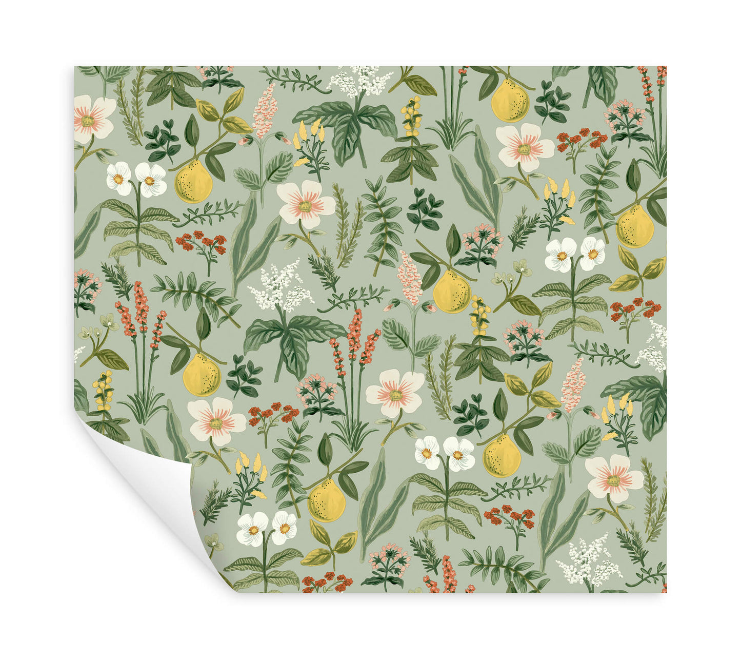 Rifle Paper Co. Herb Garden Peel & Stick Wallpaper - Sage