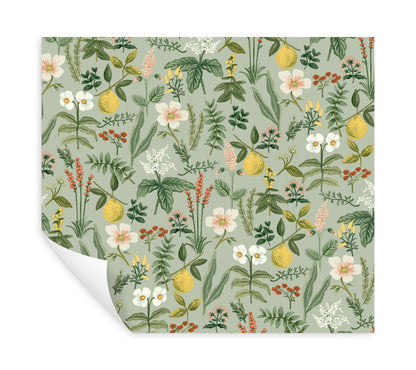 Rifle Paper Co. Herb Garden Peel & Stick Wallpaper - Sage