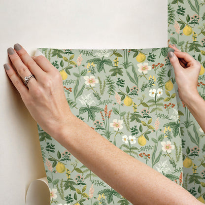 Rifle Paper Co. Herb Garden Peel & Stick Wallpaper - Sage