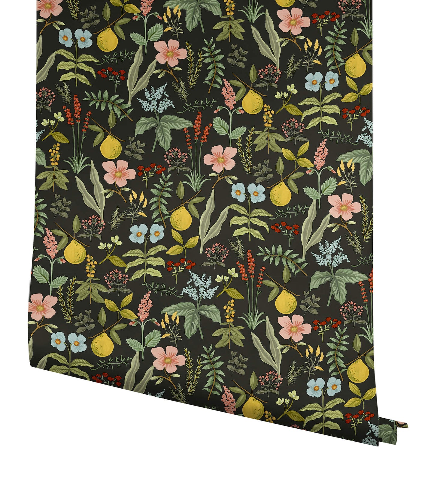 Rifle Paper Co. Herb Garden Peel & Stick Wallpaper - Black