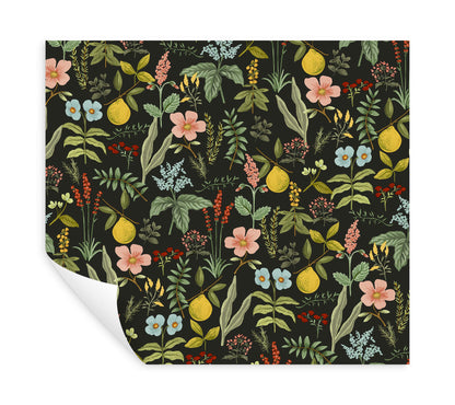 Rifle Paper Co. Herb Garden Peel & Stick Wallpaper - Black