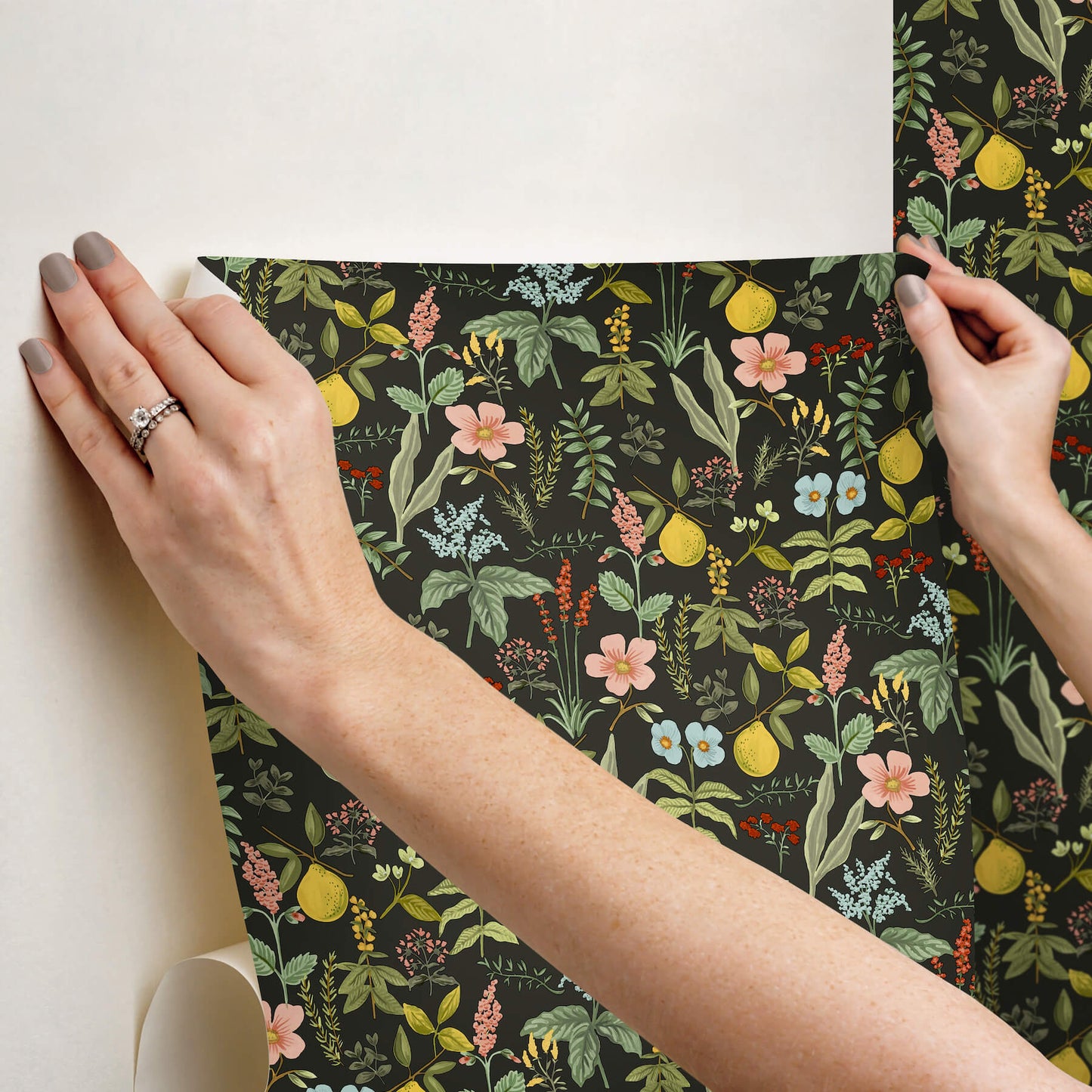 Rifle Paper Co. Herb Garden Peel & Stick Wallpaper - Black