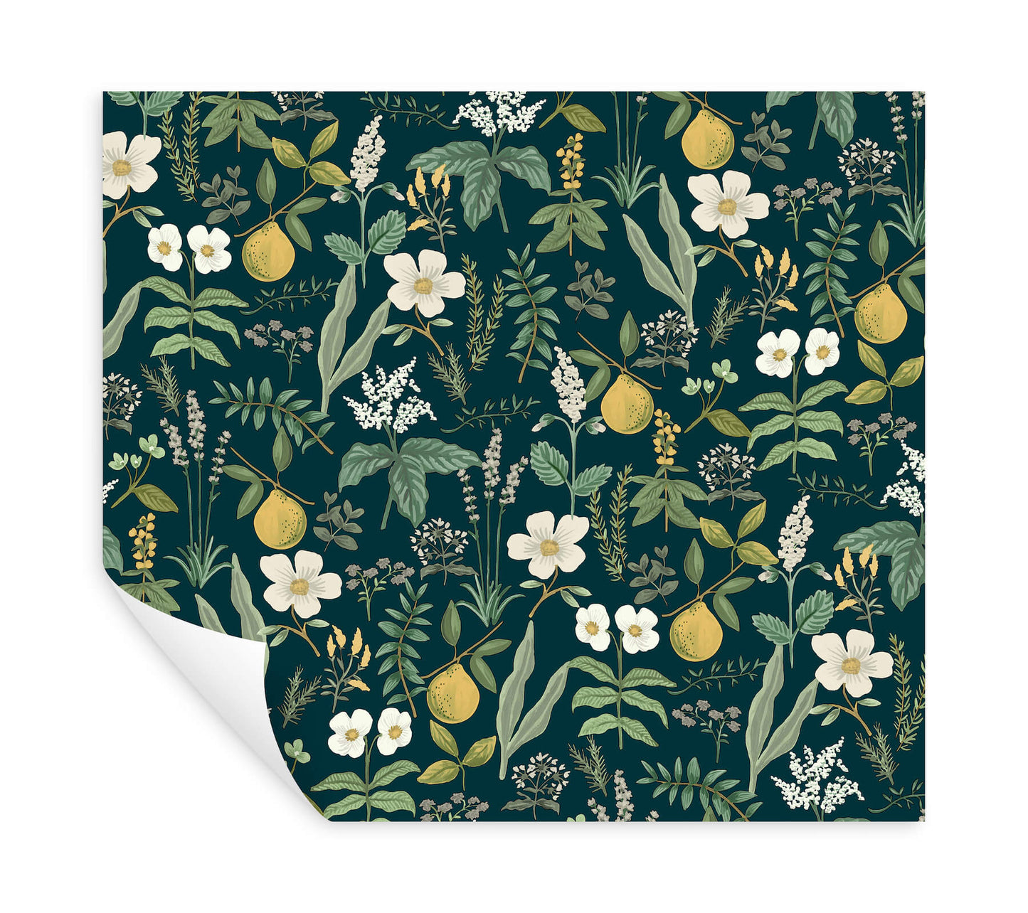 Rifle Paper Co. Herb Garden Peel & Stick Wallpaper - Navy