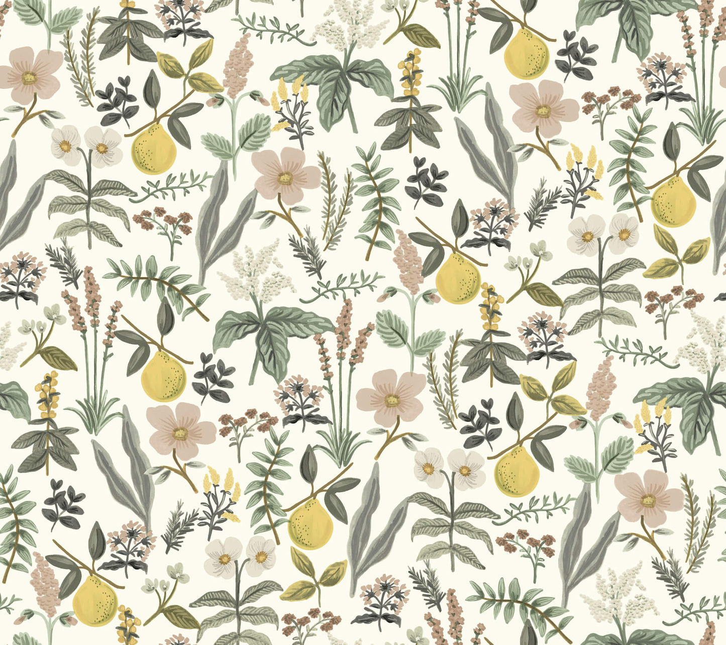 Rifle Paper Co. Herb Garden Peel & Stick Wallpaper - Cream