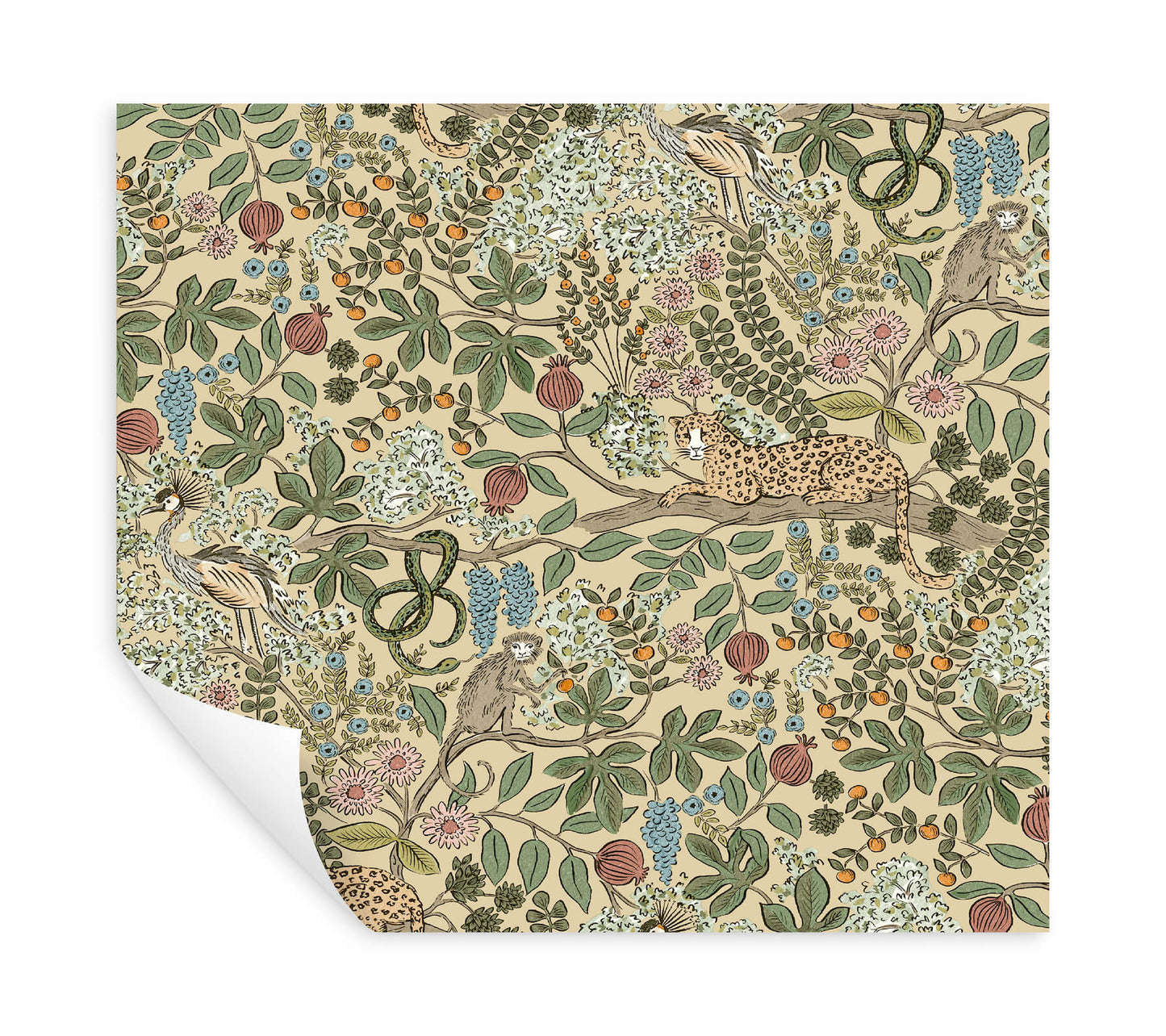 Rifle Paper Co. Safari Peel & Stick Wallpaper - Linen