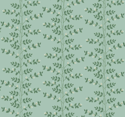 Rifle Paper Co. Third Edition Collection Wallpaper - SAMPLE