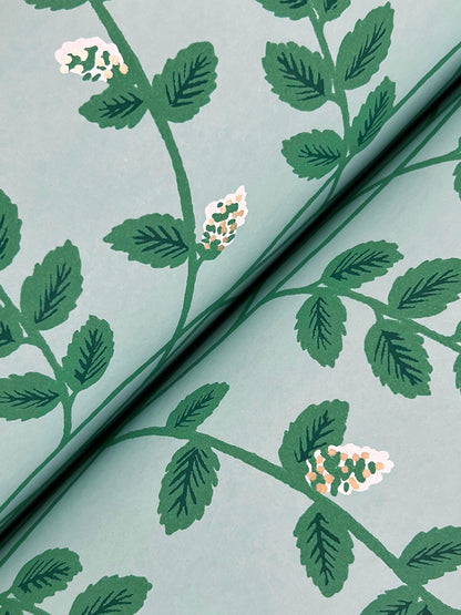 Rifle Paper Co. Climbing Vine Wallpaper - Soft Teal