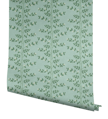 Rifle Paper Co. 3rd Edition Climbing Vine Wallpaper - Soft Teal