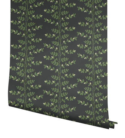 Rifle Paper Co. 3rd Edition Climbing Vine Wallpaper - Black