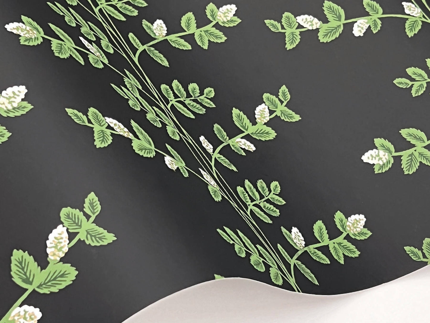 Rifle Paper Co. 3rd Edition Climbing Vine Wallpaper - Black