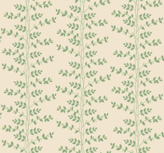 Rifle Paper Co. 3rd Edition Climbing Vine Wallpaper - Linen