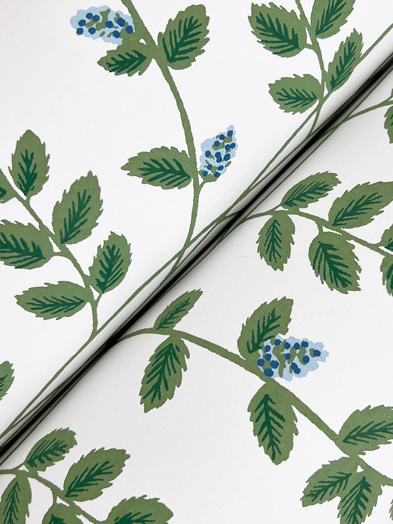 Rifle Paper Co. 3rd Edition Climbing Vine Wallpaper - Blue