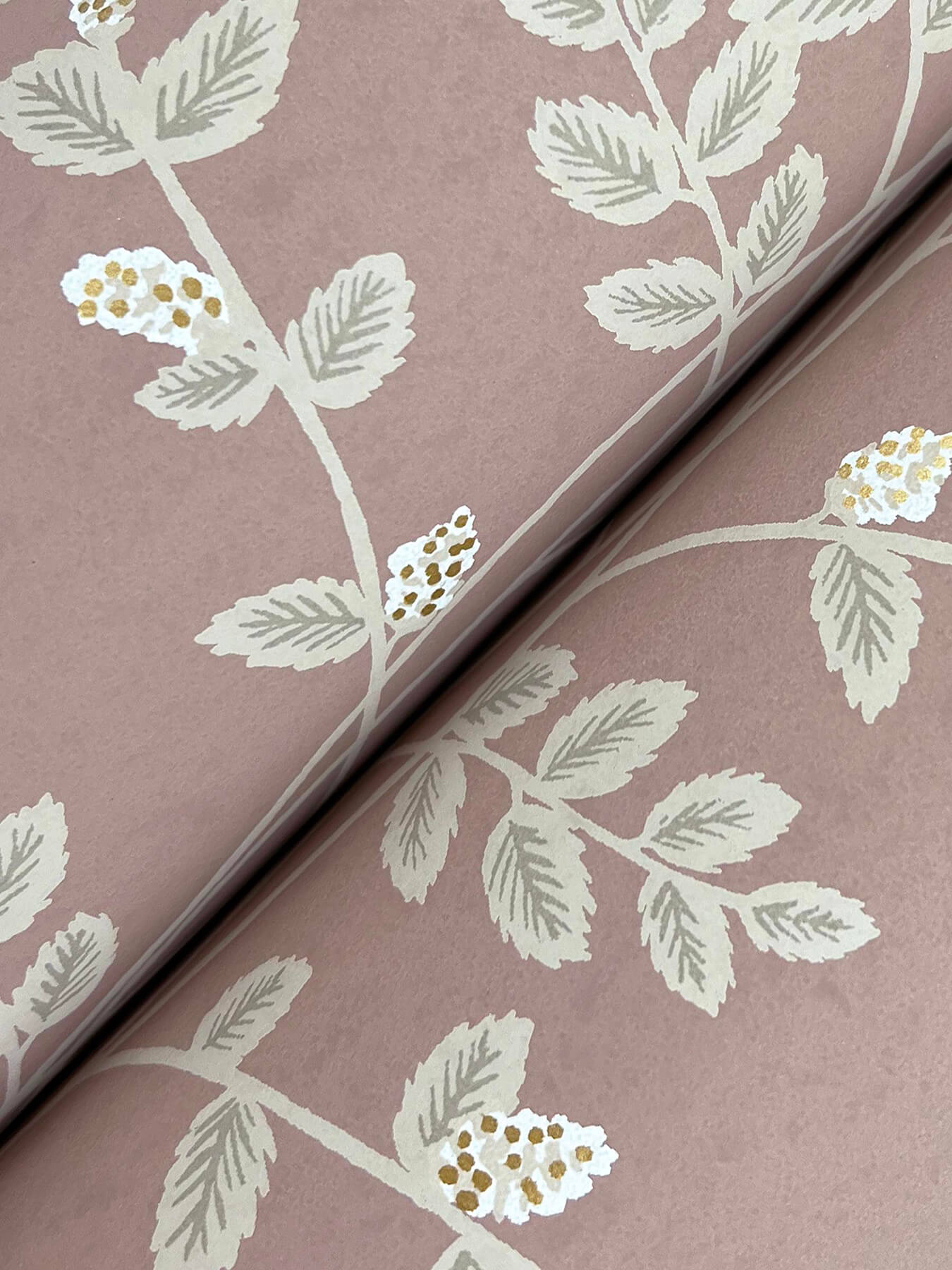 Rifle Paper Co. Climbing Vine Wallpaper - Rose