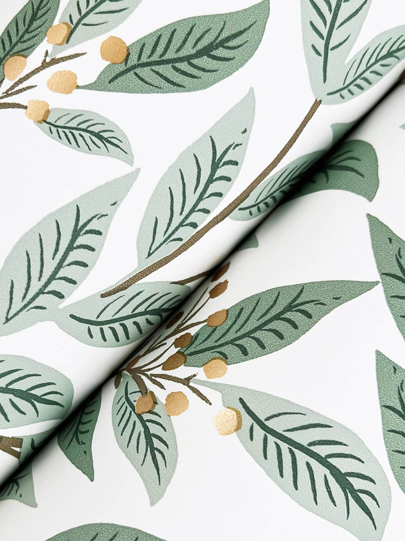 Rifle Paper Co. Willowberry Wallpaper - Sage