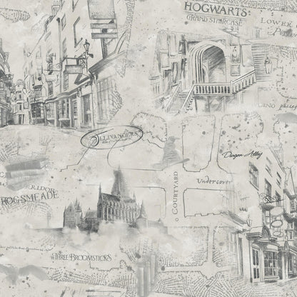 Harry Potter Hogwarts Map Peel & Stick Wallpaper - Taupe