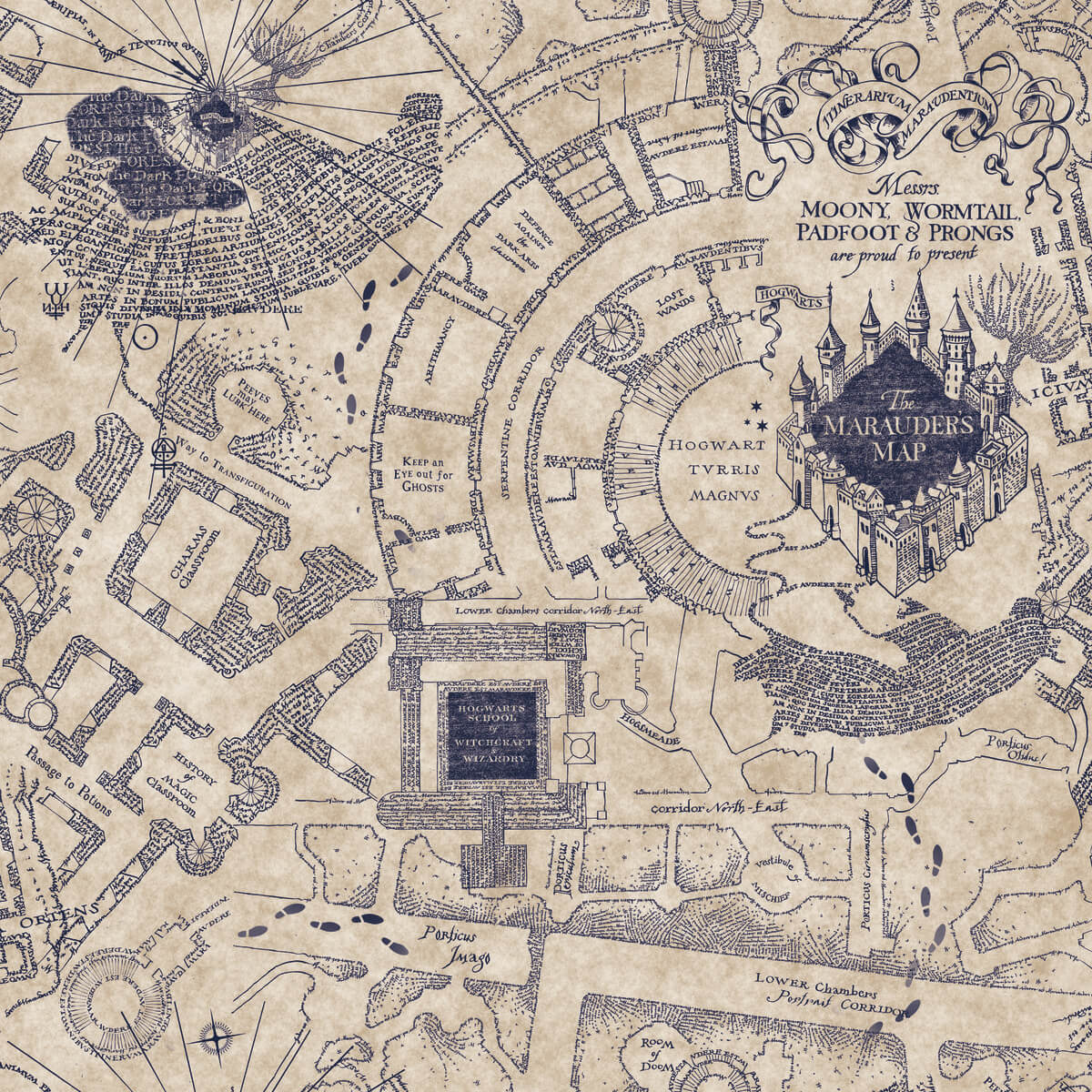 Harry Potter Marauder's Map Peel & Stick Wallpaper - Blue