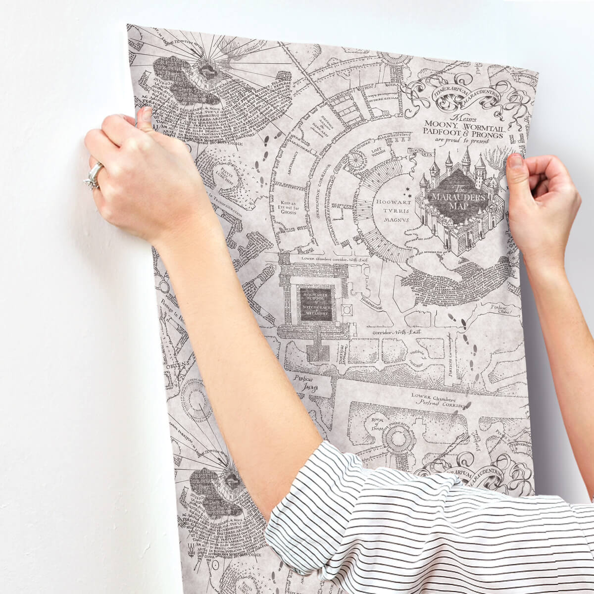 Harry Potter Marauder's Map Peel & Stick Wallpaper - Gray