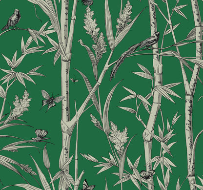Toile Resource Library Bambou Toile Wallpaper - Green