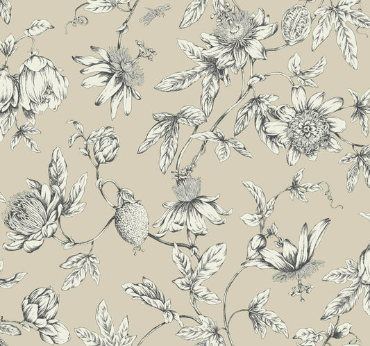 Toile Resource Library Passion Flower Toile Wallpaper - Brown