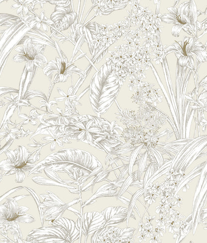 Toile Resource Library Orchid Conservatory Toile Wallpaper - Brown