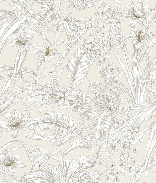 Toile Resource Library Orchid Conservatory Toile Wallpaper - Brown