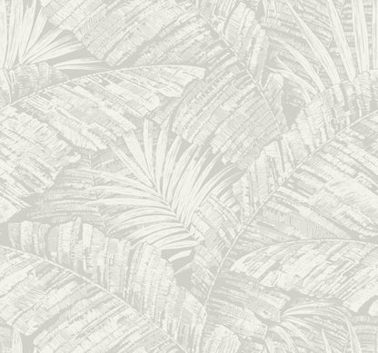 Toile Resource Library Palm Cove Toile Wallpaper - Gray