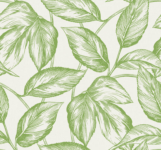 Seabrook Summer House Beckett Sketched Leaves Wallpaper - Apple Green