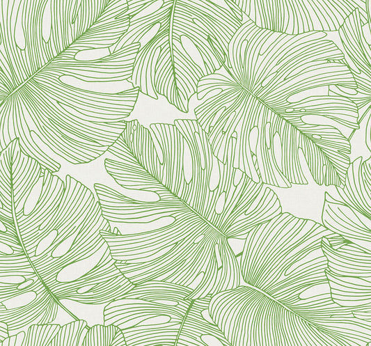 Seabrook Summer House Tarra Monstera Leaf Wallpaper - Hill Green