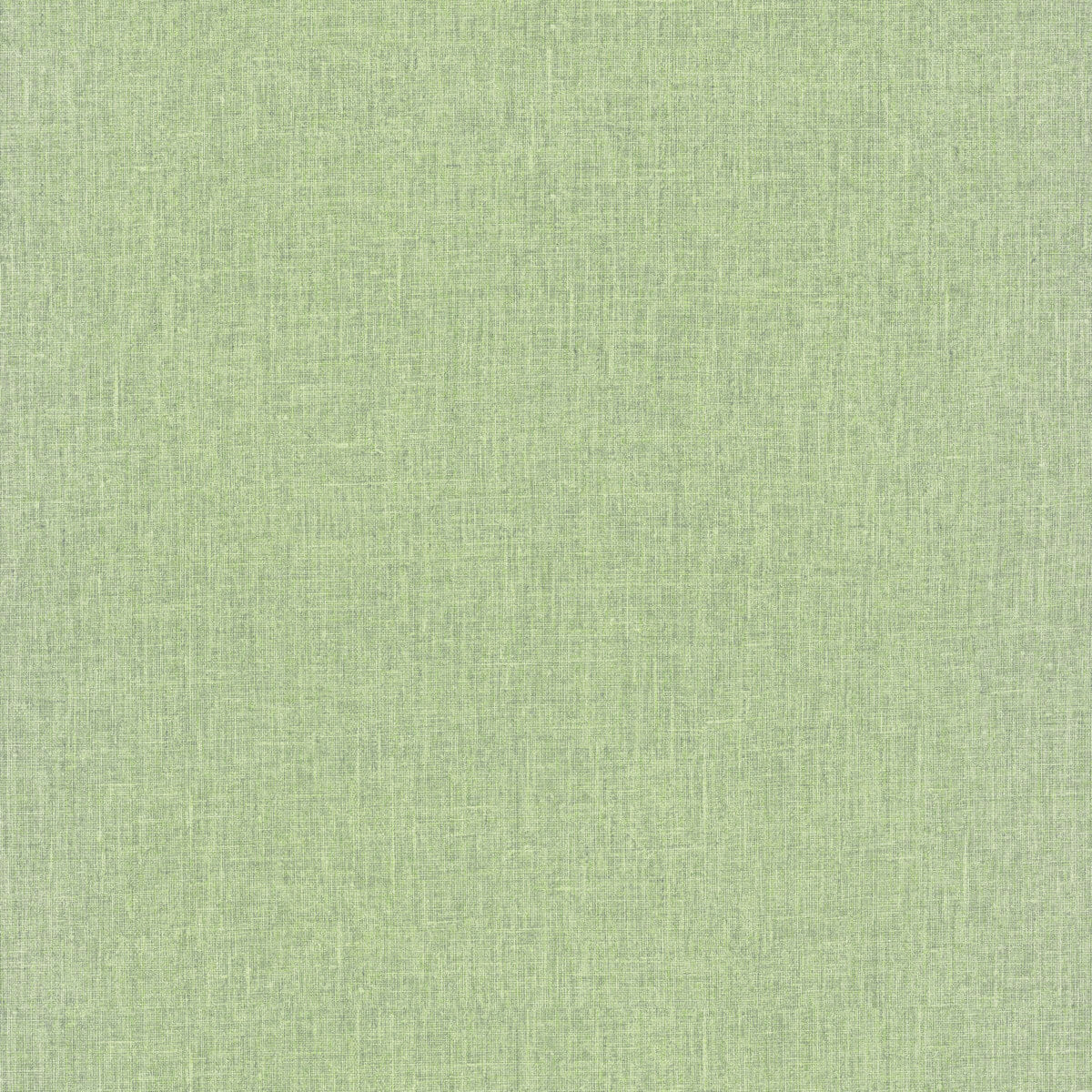 Montecito Cromie Wallpaper - Green