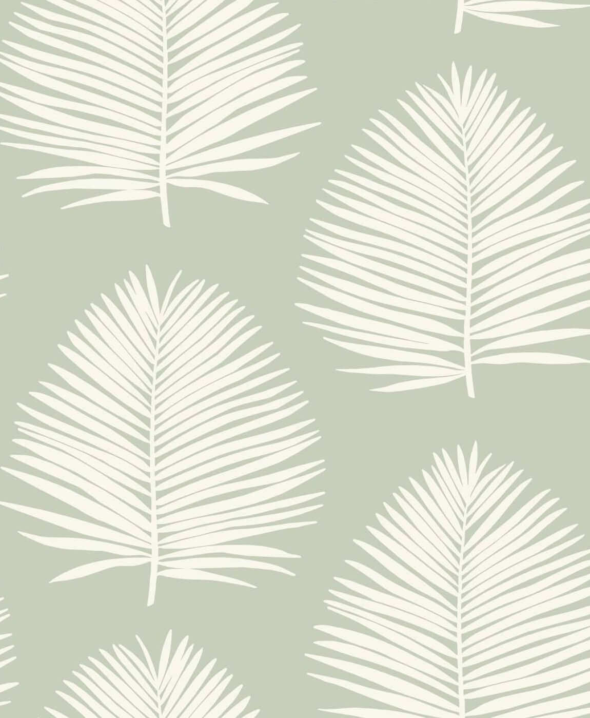 Seabrook The Simple Life Island Palm Wallpaper - Celadon