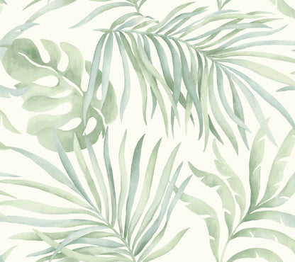 Candice Olson Tranquil Paradise Palm Wallpaper - Light Green