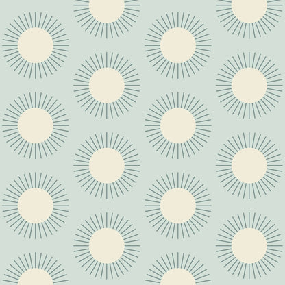 Mitchell Black Sunburst Wallpaper - Hazy Daytime