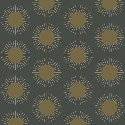 Mitchell Black Sunburst Wallpaper - Midnight Sun