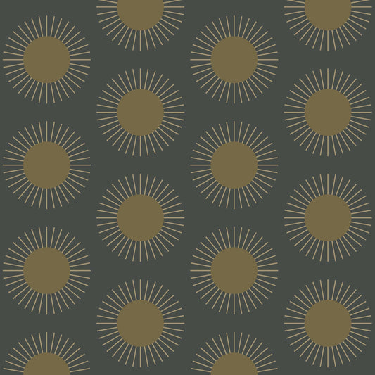 Mitchell Black Sunburst Wallpaper - Midnight Sun