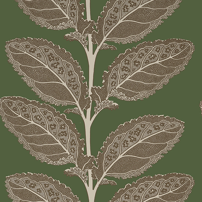 Thibaut Vista Lacinato Wallpaper - Wild Sage