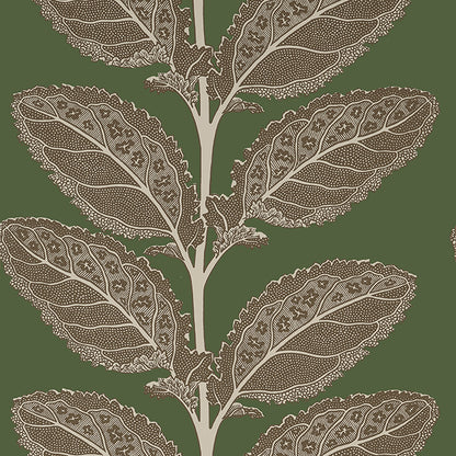 Thibaut Vista Lacinato Wallpaper - Wild Sage