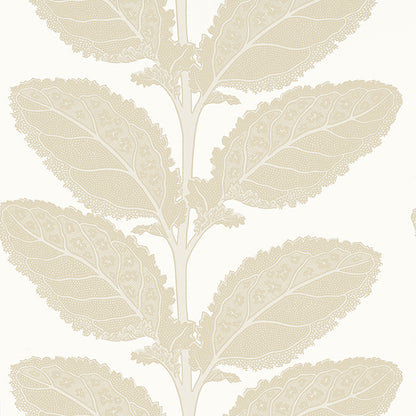 Thibaut Vista Lacinato Wallpaper - Birch