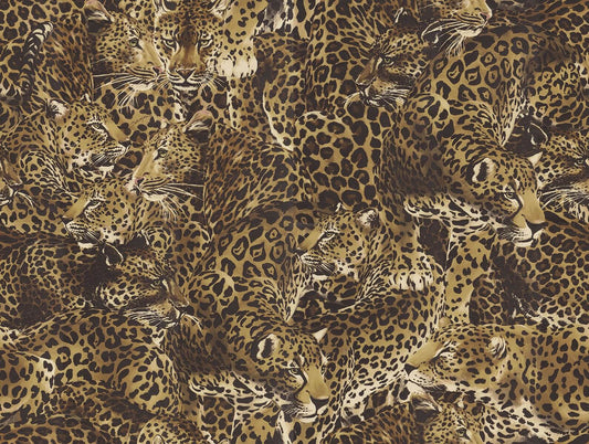 Seabrook Dolce & Gabbana Leopardo Incognito Wallpaper - Alessia