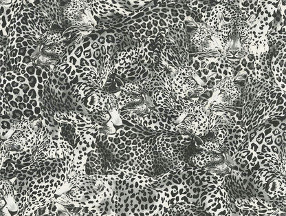 Seabrook Dolce & Gabbana Leopardo Incognito Wallpaper - Alessandra