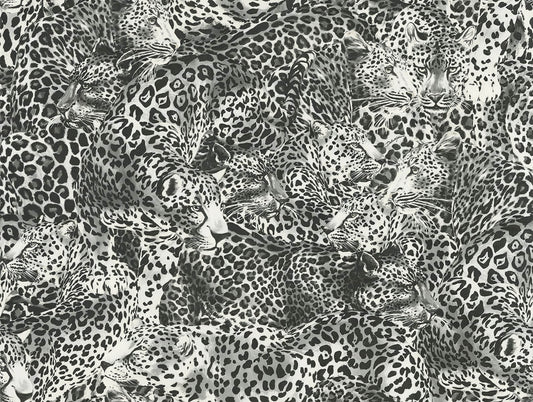 Seabrook Dolce & Gabbana Leopardo Incognito Wallpaper - Alessandra