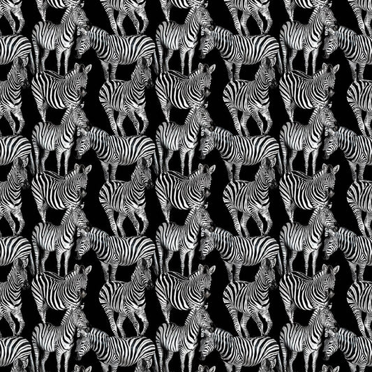Seabrook Dolce & Gabbana Multi Zebra Wallpaper Mural - Tullio