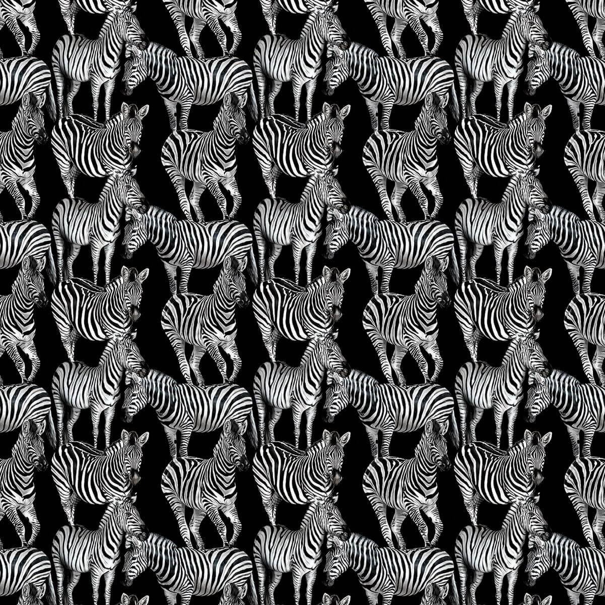 Seabrook Dolce & Gabbana Multi Zebra Wallpaper Mural - Tullio