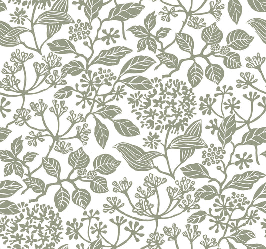 Antonina Vella Jardin Rowen Wallpaper - Olive