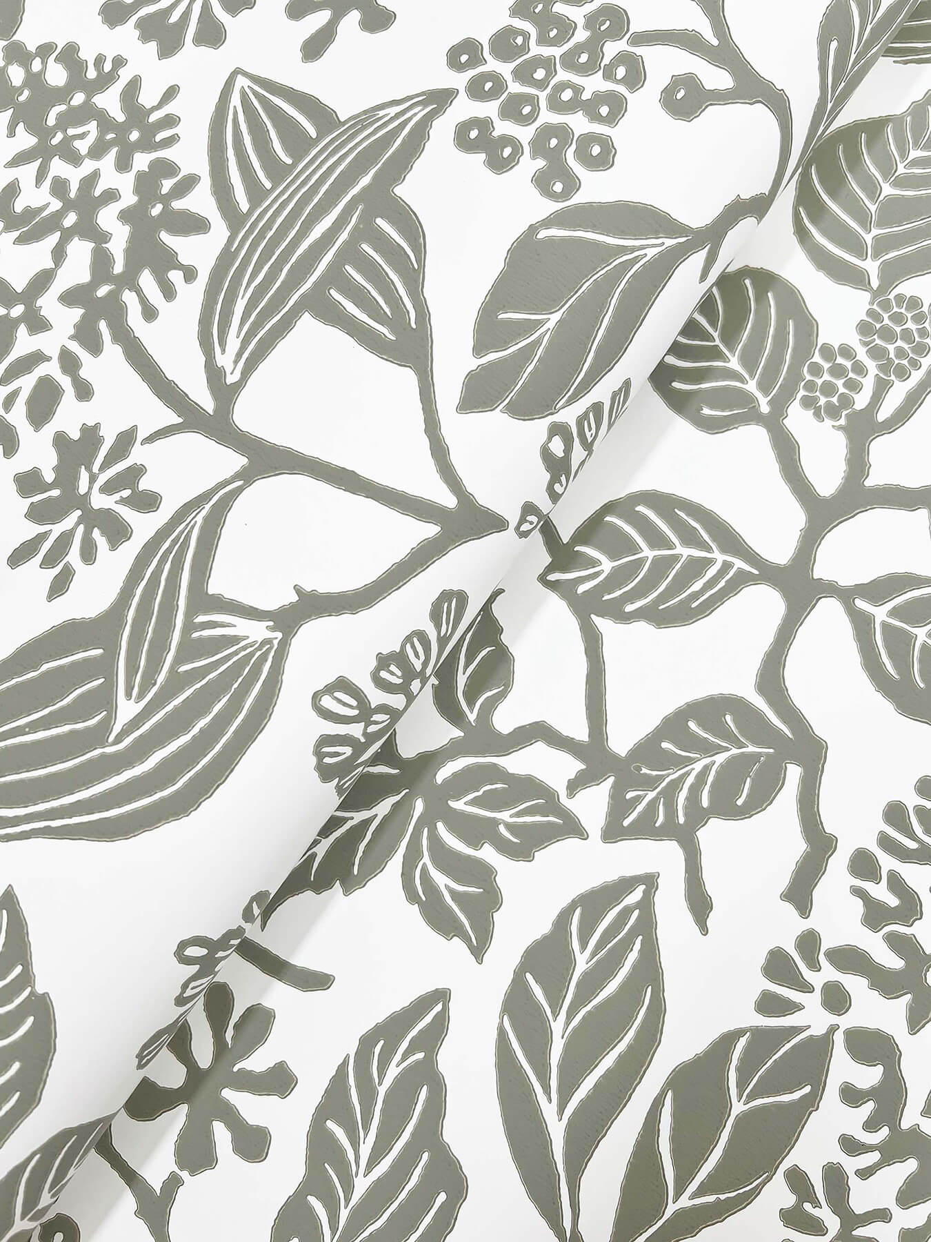 Antonina Vella Jardin Rowen Wallpaper - Olive
