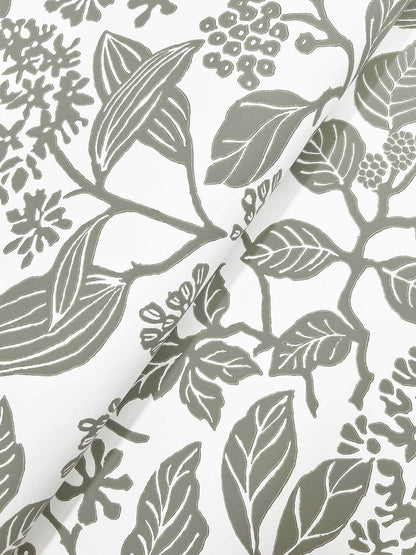 Antonina Vella Jardin Rowen Wallpaper - Olive