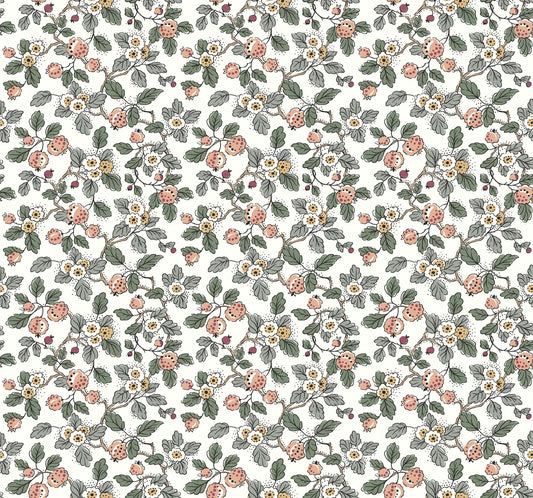 Antonina Vella Jardin Framboise Wallpaper - Salmon & Eucalyptus