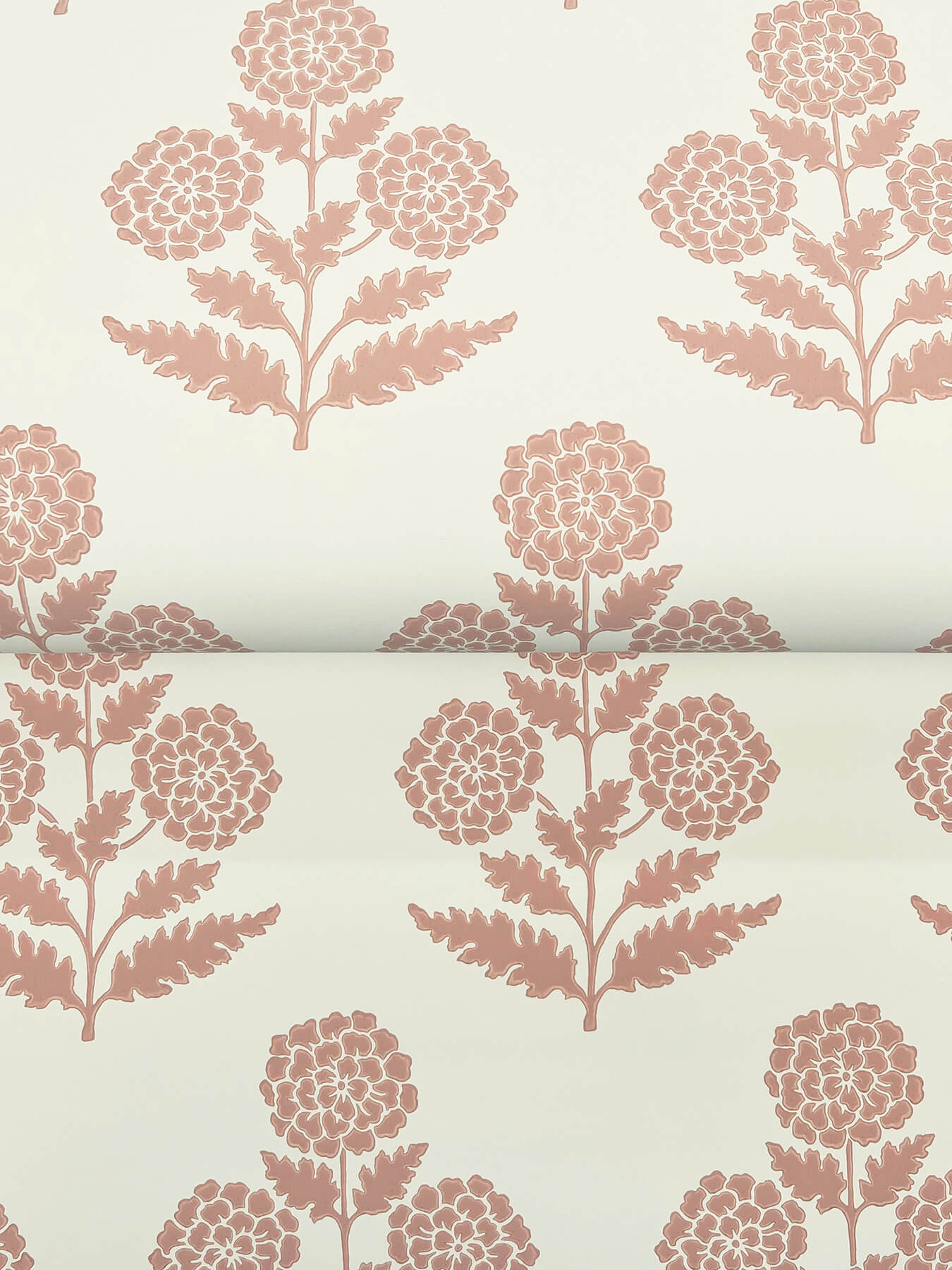 Antonina Vella Jardin Souci Wallpaper - Rose